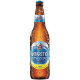 Antártica Sub Zero 600 ml